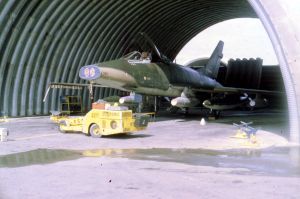 510th Fighter Squadron "Buzzards of Bien Hoa"