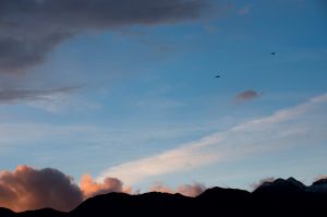 Birds of a feather: F-16s train over Aviano skies