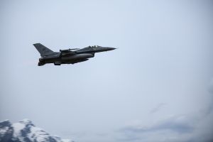 Aviano soars